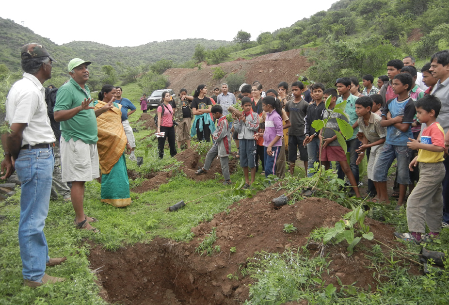 Tree Plantation