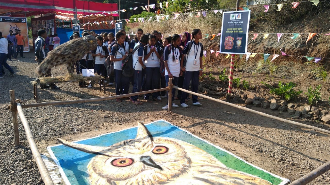 Owl Rangoli