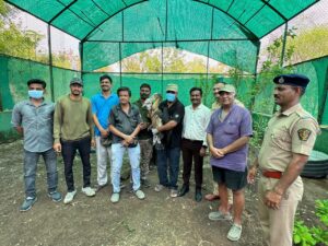 Tagging of Lesser adjutant stork.